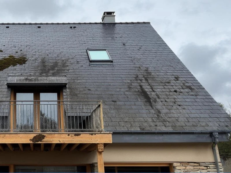 Toiture avant nettoyage