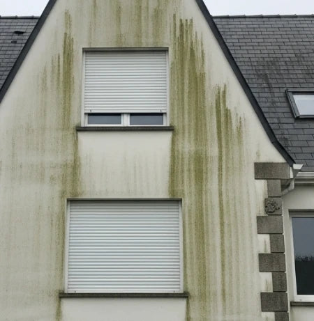 Façade avant ravalement AVANT - Blas Peinture Sarzeau