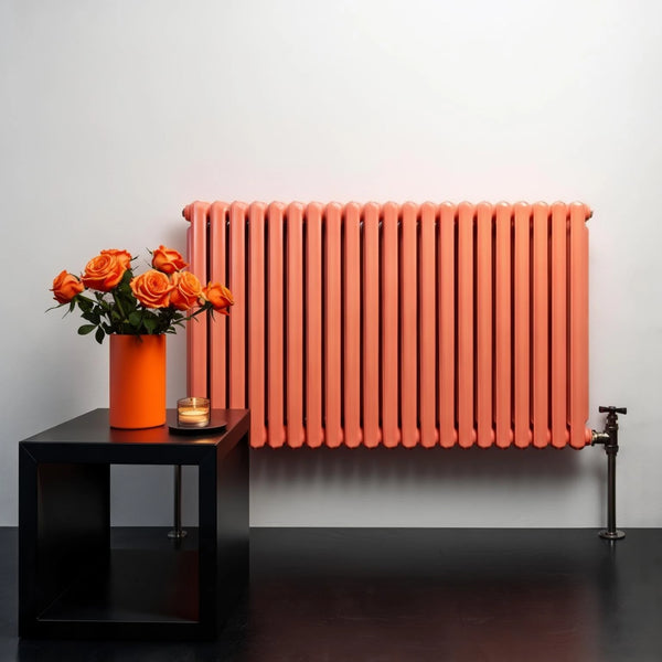 Boiseries & radiateurs